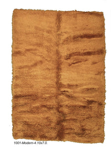 Modern Shag Rug