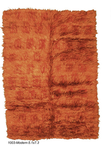 Modern Shag Rug