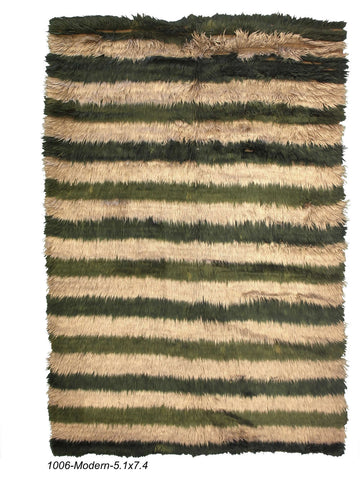 Modern Shag Rug