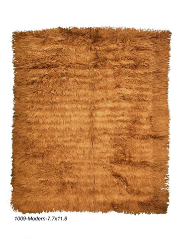 Modern Shag Rug