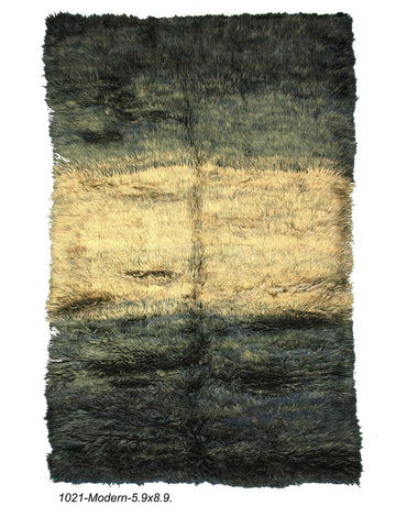 Modern Shag Rug