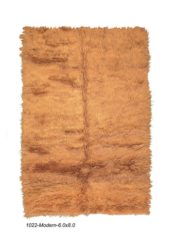 Modern Shag Rug