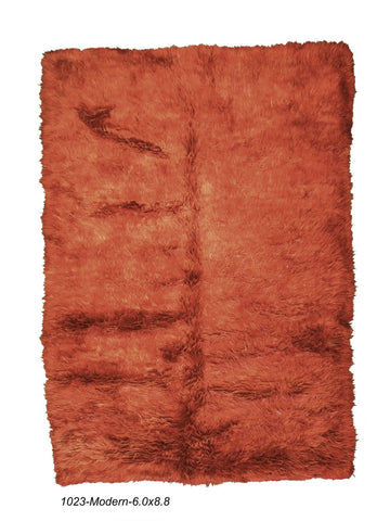 Modern Shag Rug