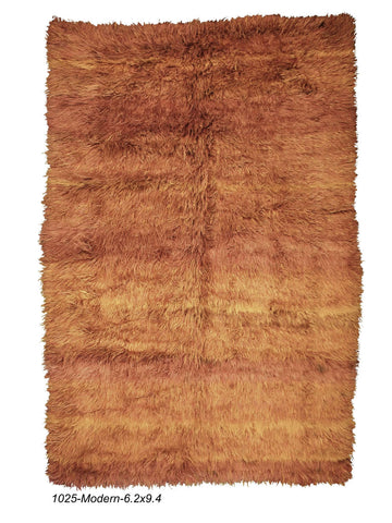 Modern Shag Rug