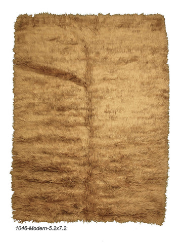 Modern Persian Shag Rug