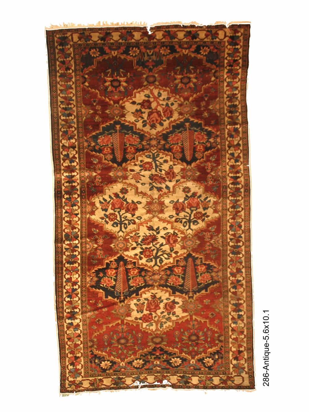 Antique Bakhtiari Rug - Woven Passion Rugs