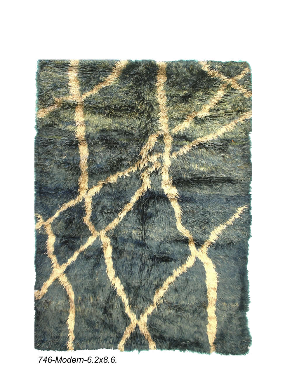 Modern Persian Shag Rug